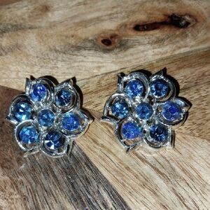 Elegant Vintage Silver Aurora Borealis and Blue Floral Earrings